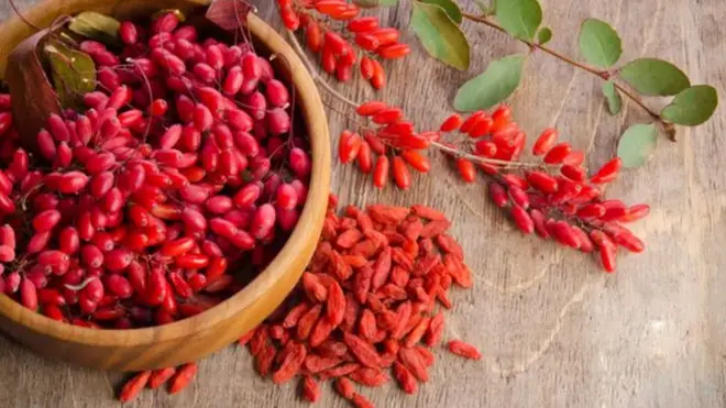 Goji Berry