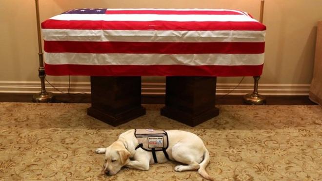 El perro Sully tendido al lado del féretro del expresidente de Estados Unidos George HW Bush