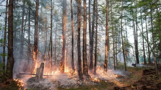 Wildfires have been made more severe by high temperatures and strong winds in the Arctic