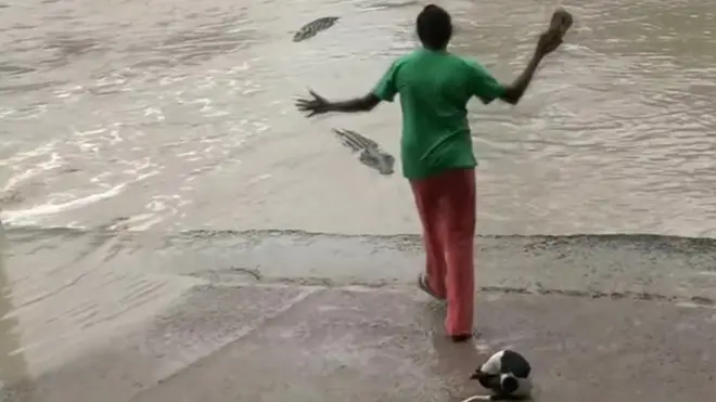 Woman, dog and crocodile