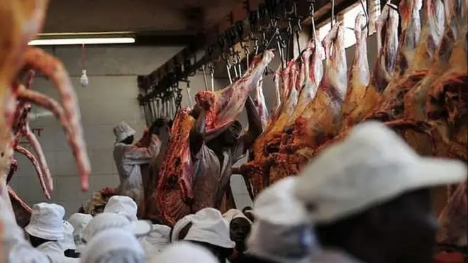 Daldaltoonni foonii kun gaazexaan maranii akka hin gurgurree akeekachiifamanii turan