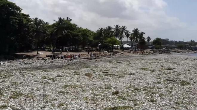 Praiaaposta bet presidenteMontesinos, na República Dominicana