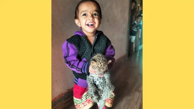 बिबट्याचा बछडा