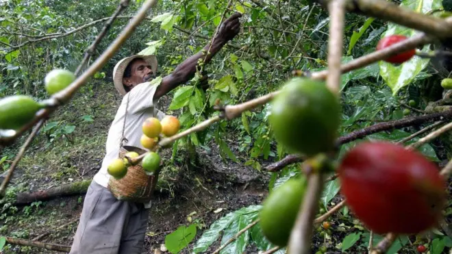（圖片來源：Getty Images）
