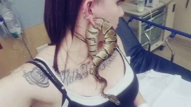 ऐशली ग्लॉई