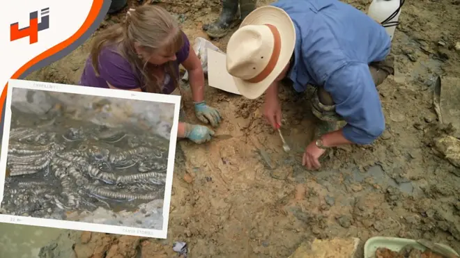 زوجان يساهمان في اكتشاف 3 كائنات جديدة لم تكن معروفة للوسط العلمي قبل الآن.