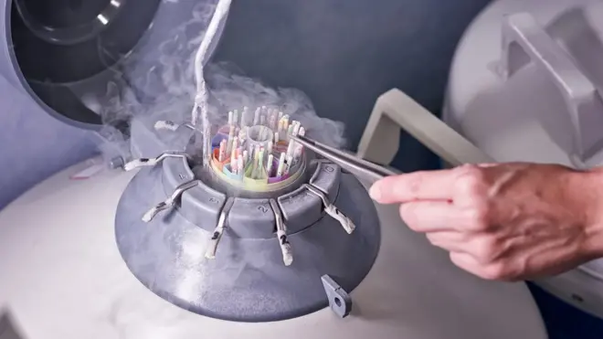 Laboratorio de un banco de esperma