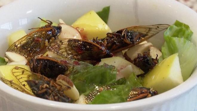 cvrčci na meniju insekti hrana