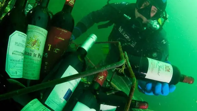 布列塔尼海岸的海牀溫度在9-10攝氏度左右，與深酒窖的溫度相當。