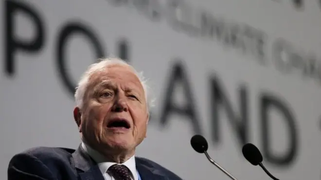 Ünlü belgesel yapımcısı David Attenborough