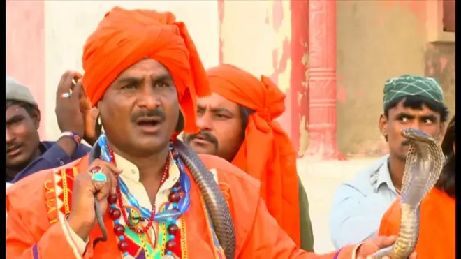 パキスタンのヘビ使い　「噛まないで」とまじない