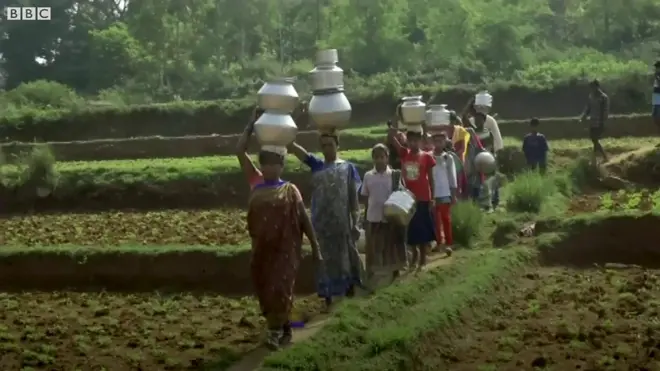 నీటి చుక్క కోసం అల్లాడుతున్న మన్యం