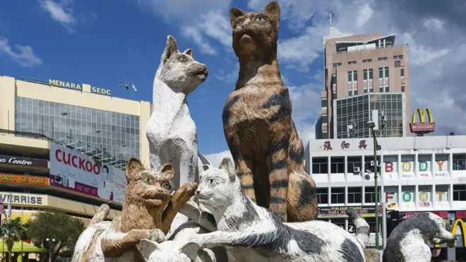 Коти в малайзійському місті Кучингу - майже всюди