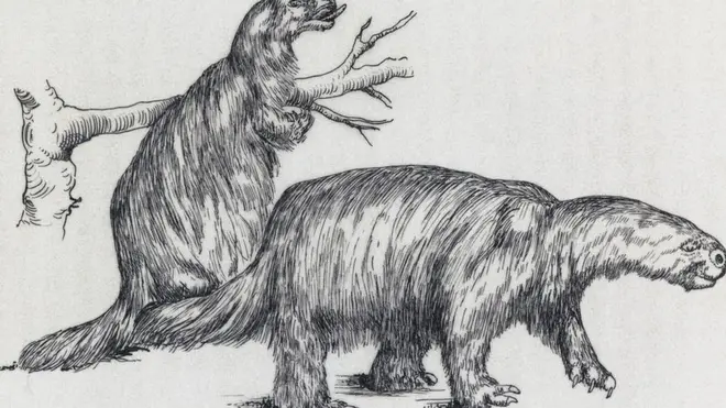 El milodón magallánico es considerado uno de los animales más emblemáticos de la fauna prehistórica de Chile.