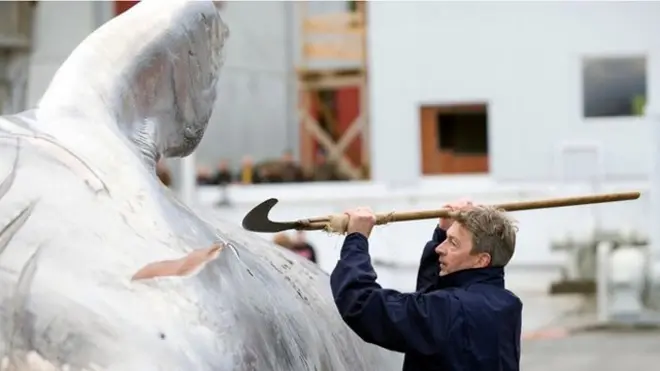 Japón anunció que en 2019 comenzará la caza comercial de ballenas, hay otros países que también realizan esta práctica de manera legal.