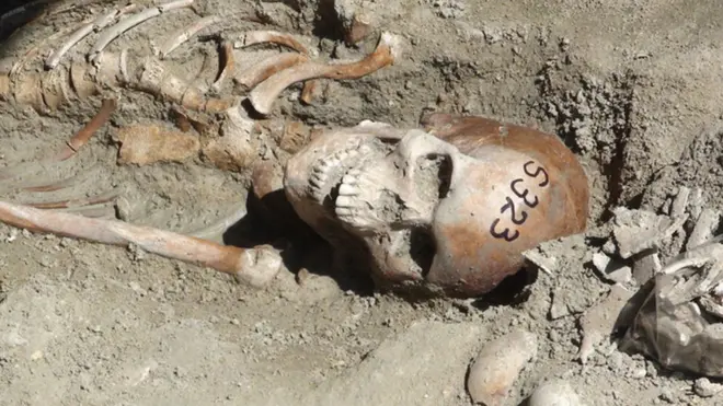 මන්නාරම සමූහ මිනී වළේ කාල නීර්ණය ගැන අර්බුදයක්