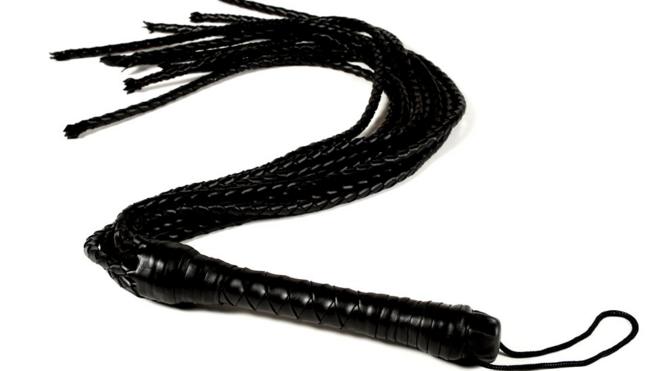 Used as a method of trying to keep control and often deployed in punishment scenarios, this whip is closer to the definition of a government whip than you might think