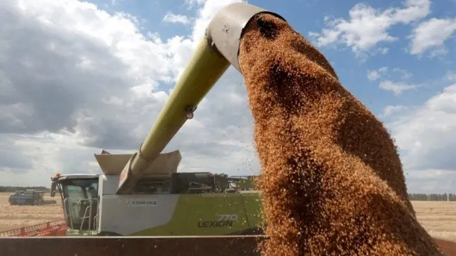 بولندا تبحث بدائل لتصدير الحبوب الأوكرانية إلى الخارج