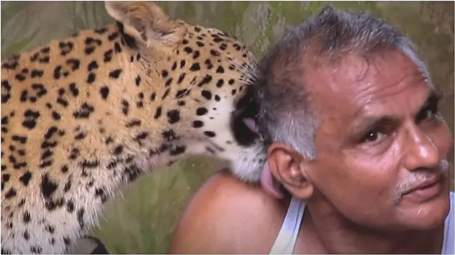 చిరుతతో ఆమ్టే