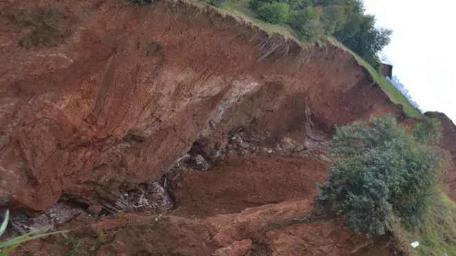 Inkangu zimaze igihe ziboneka mu Rwanda