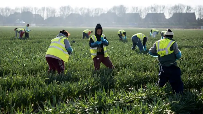 Трудові мігранти
