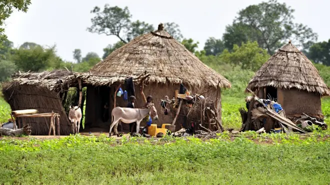 Fulani are semi-nomadic herders