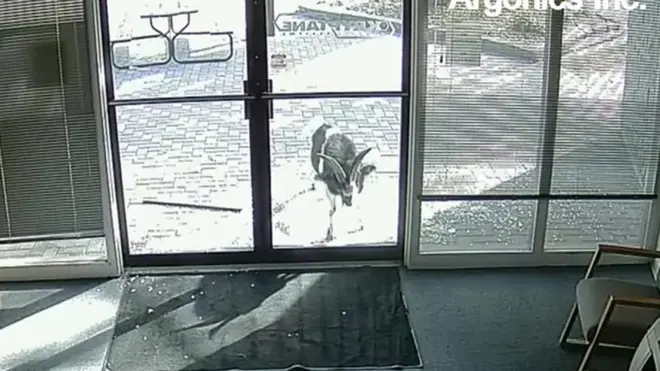 پیر کی صبح ایک امریکی کمپنی والے دفتر پہنچے تو دروازے ٹوٹے ہوئے تھے اور جگہ جگہ کرچیاں بکھرے تھے۔ انھوں نے پولیس بلا لی۔