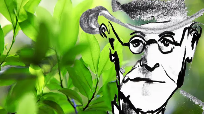 Freud quiso investigar a fondo la planta que tradicionalmente se usaba en Sudamérica.
