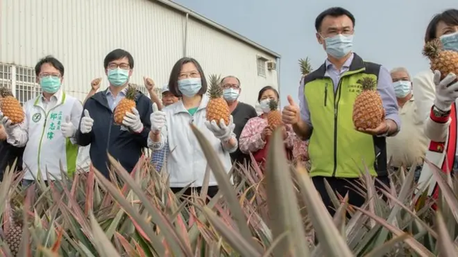 蔡英文到高雄凤梨田推销凤梨