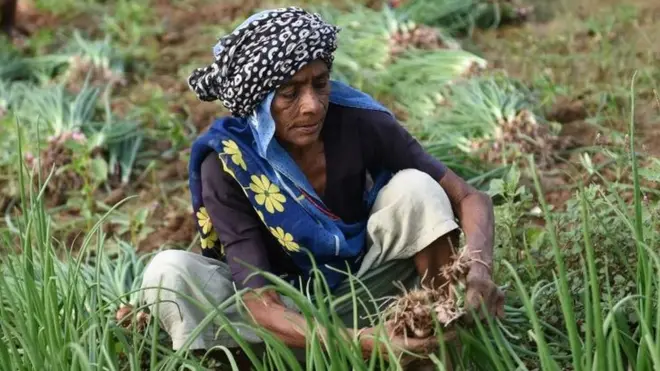 ભારતનો ખેડૂત