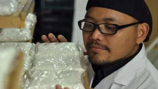 Rustono dan produksi tempenya di Jepang.