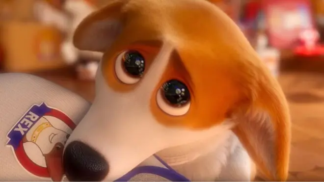 Фильм "Королевские корги" рассказывает о жизни собак при дворе британской королевы