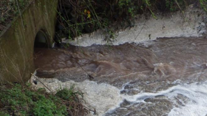 Severn Trent Water apologises for slow sewage spills response - BBC News