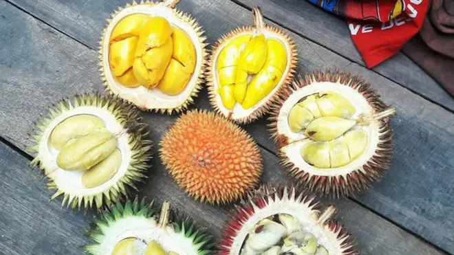 "Enam jenis tapi bukan durian," tulis Hanif Wicaksono dalam keterangan foto buah-buahan hutan Kalimantan yang diunggahnya di akun media sosialnya.