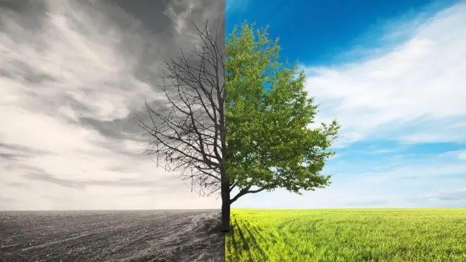 Католическая церковь Англии и Уэльса запустила новый вебсайт: "Искусство достойной смерти"