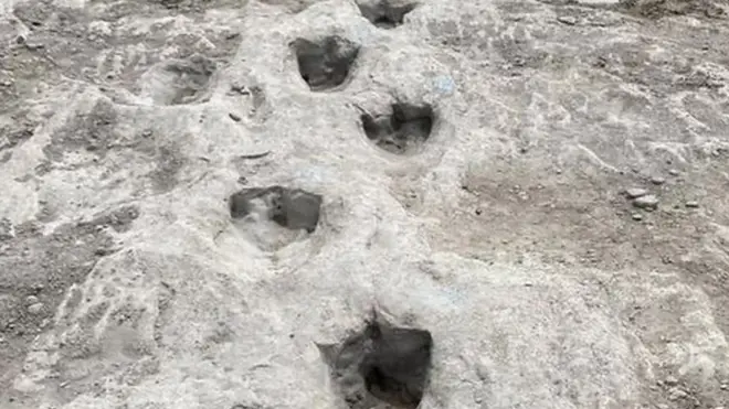 아크로칸토사우루스 공룡 발자국