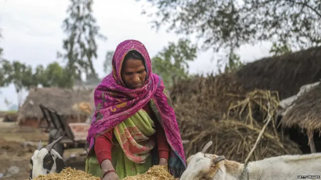 गरीबी, राजस्थान, बीपीएल, बीजेपी, वसुंधरा राजे, सोशल मीडिया, राशन, अनाज
