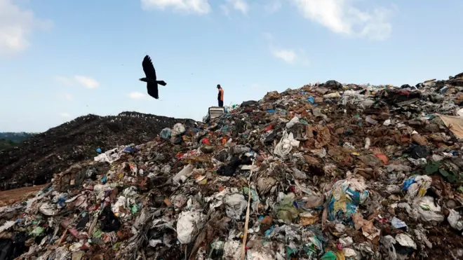 Пластиковые отходы накапливаются на свалках по всему миру