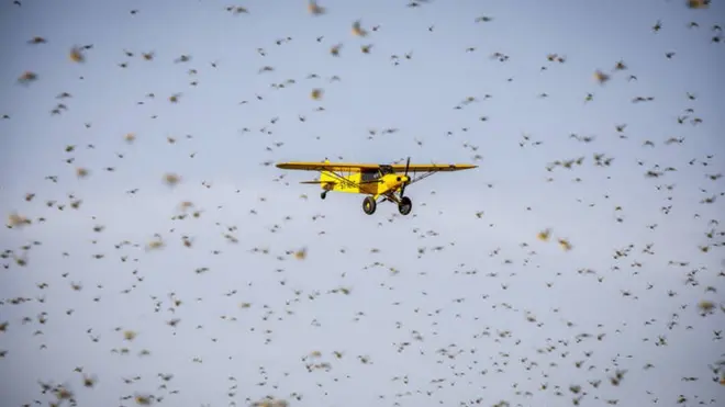 Xiyyaara farra Awwaannisaa biiftu