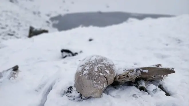 Naturally preserved ancient human skeletons under snow found beside high altitude alpine Roopkund lake in Indian Himalayas.