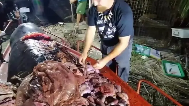 40 килограма кеса пронашли су научници