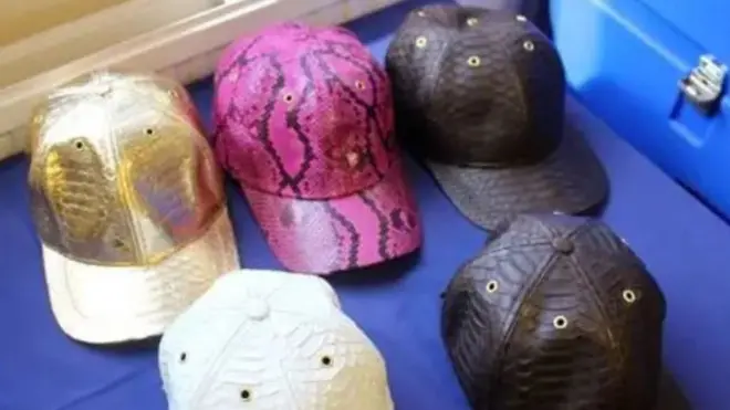 Topi-topi dari kulit ular piton yang diimpor oleh Stephanie Scolaro dari Indonesia. Topi-topi ini disita oleh polisi dan dijadikan sebagai barang bukti.
