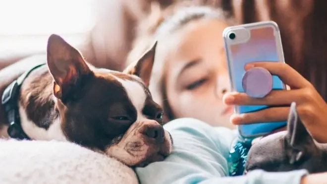 A girl and her dog looking at a phone screen in a stock photo