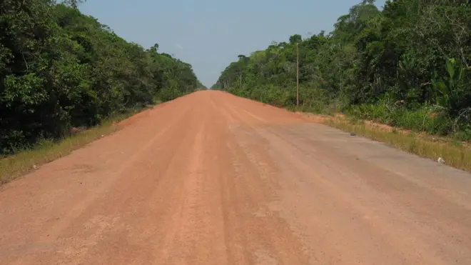 A estrada BR-319 hojebet7k saquedia - não pavimentada e com árvores ao redor