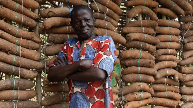 Chief Goddey Ehiwarior, di 'Special Yam Famer'