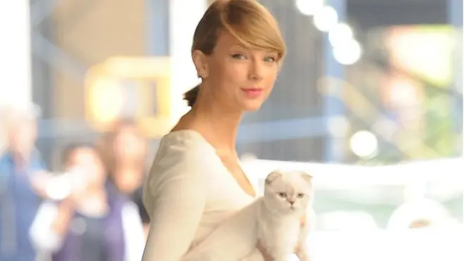 泰勒·斯威夫特與她的貓