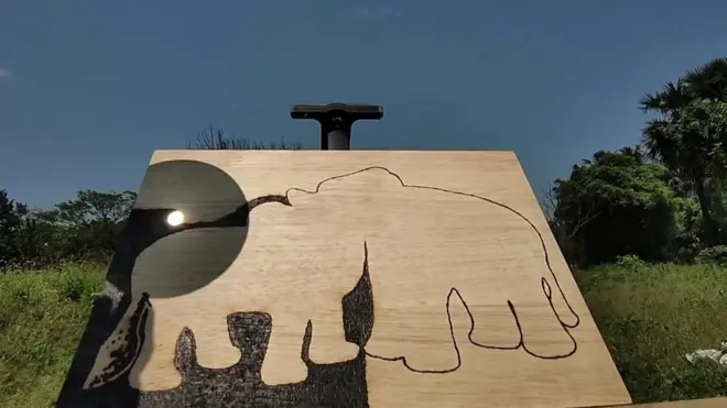 හිරුඑළියෙන් චිත්‍ර අඳින සිත්තරා