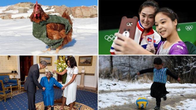 Composite image showing the happiest stories of the year - December 2016