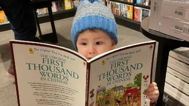 Teddy sabe contar en seis idiomas.