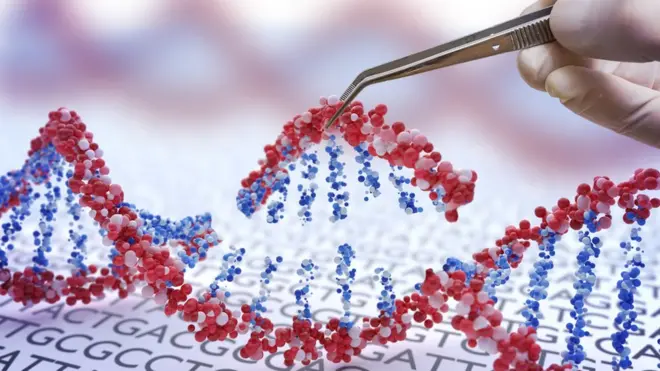 Редактирование ДНК